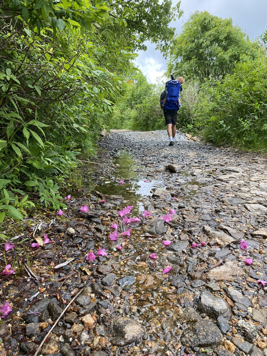 Mary Dunn tweet media