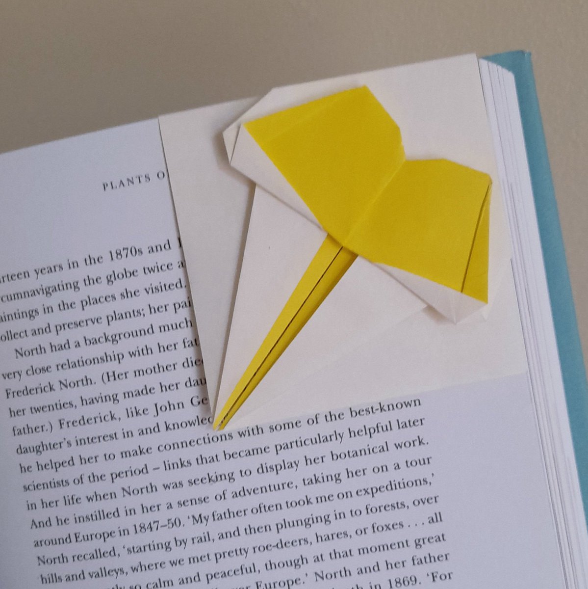 MattBookbinding's tweet photo. Ginko/Ginkgo Bookmark (Xiaoxian Huang). Folded by me. #origami #ginko #ginkgo #ginkgobiloba #origamiginkgo #origamibookmark #leaf #origamileaf #nature #plants #instaorigami
Diagram: https://t.co/OwEEcoazZ5 https://t.co/auEaXGSGWH