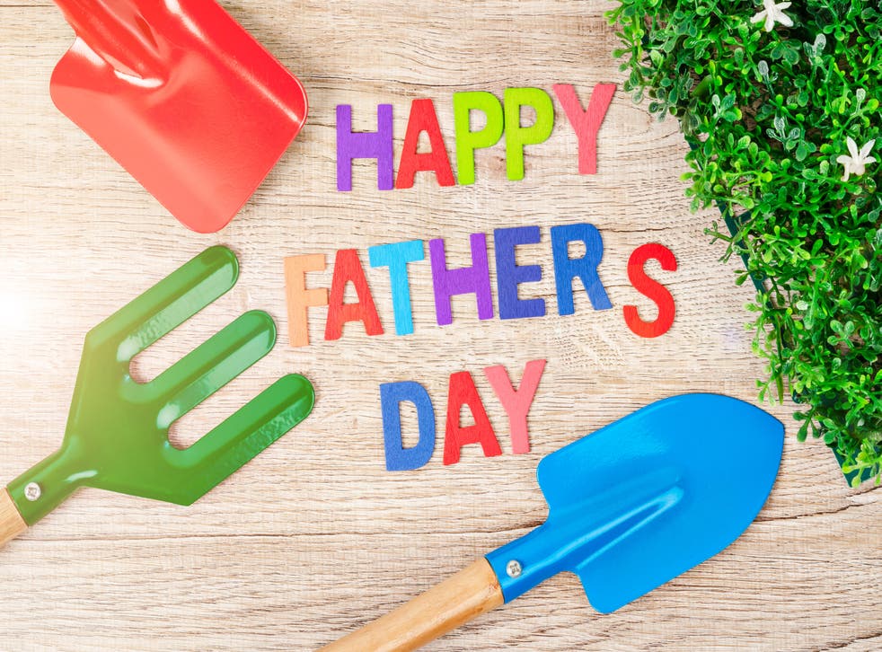 PremierNetting's tweet photo. Happy Father's Day
#PremierNetting #netting #garden #gardening #gardenlife🌱 #allotments #allotmentsuk #allotmentlife #allotmentgarden #growyourown https://t.co/BZ2Ov4VaVl