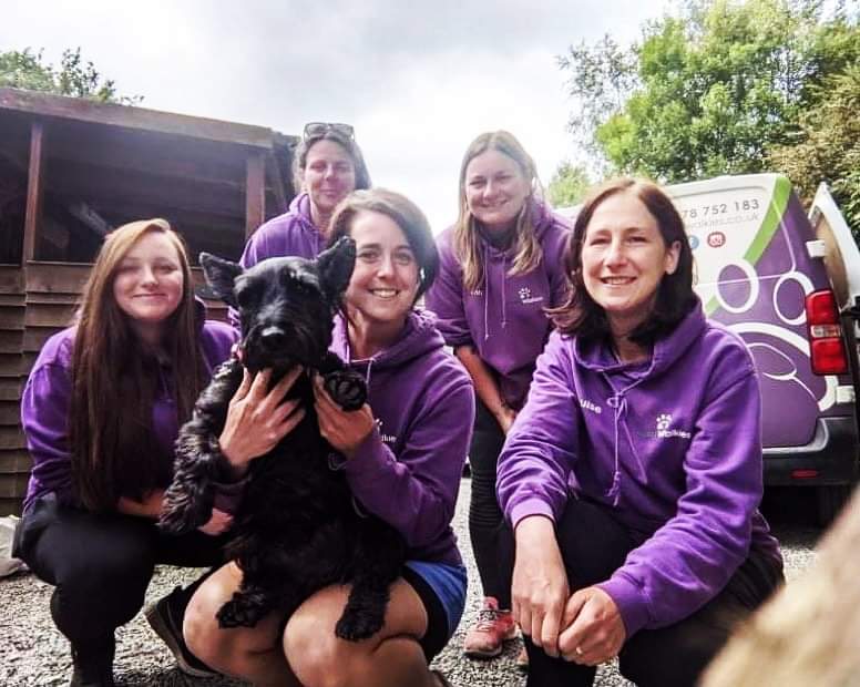 WoofWalkies's tweet photo. Sad to have to say goodbye to our one and only Scottie dog Waffles this week. 

He has been with us since we first started a daycare here and has always been a pleasure to care for. 

Good luck to him and his humans in their new home! #ScottishTerrier #WoofWalkies #DoggyDaycare https://t.co/ve8fNktyeF