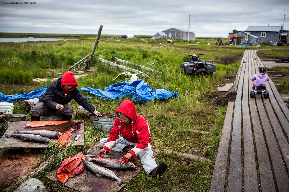 ScienceMagazine's tweet photo. In this special issue of Science on planning for #ClimateInducedRelocation, experts examine ways in which interdisciplinary basic and applied research can—and must—engage with and support communities and governments navigating this landscape. Learn more: https://t.co/f6GtvGJaiR https://t.co/axaGxKkJFK