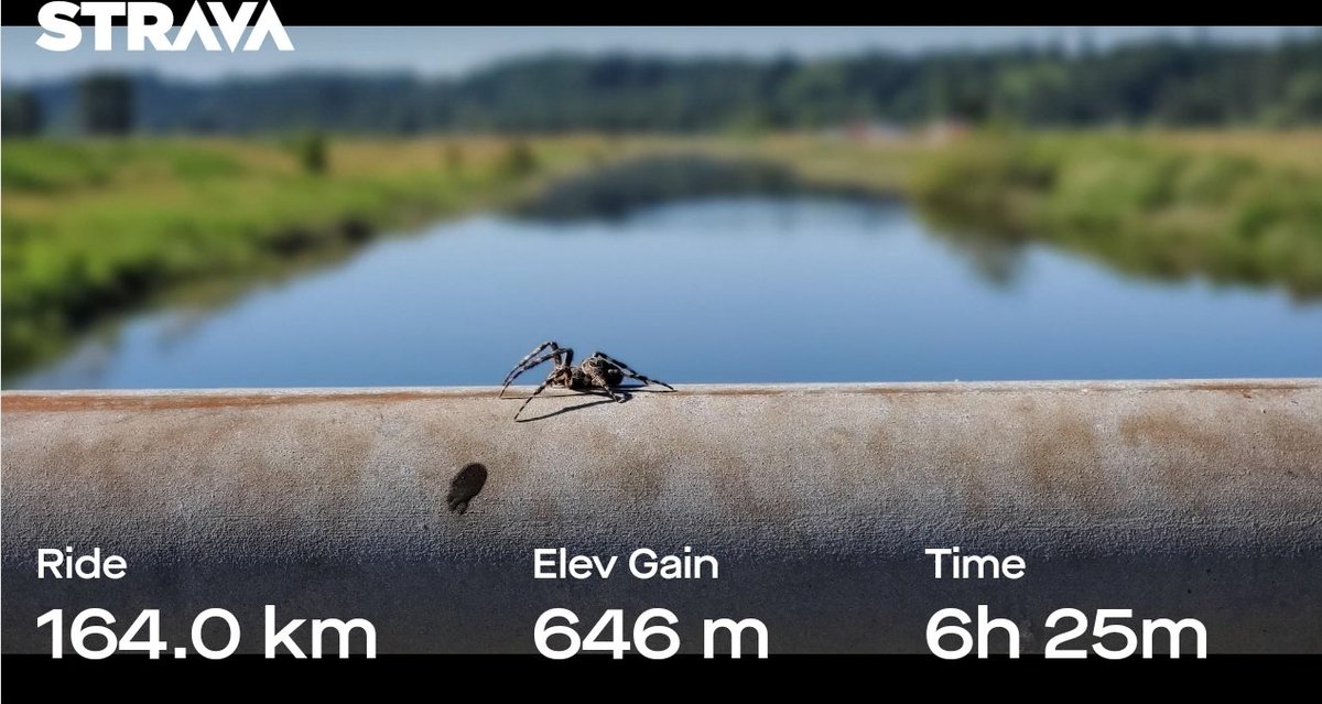 RogerSteers's tweet image. Great day to enjoy the outdoors and the first full day of summer #lifelike #summarises