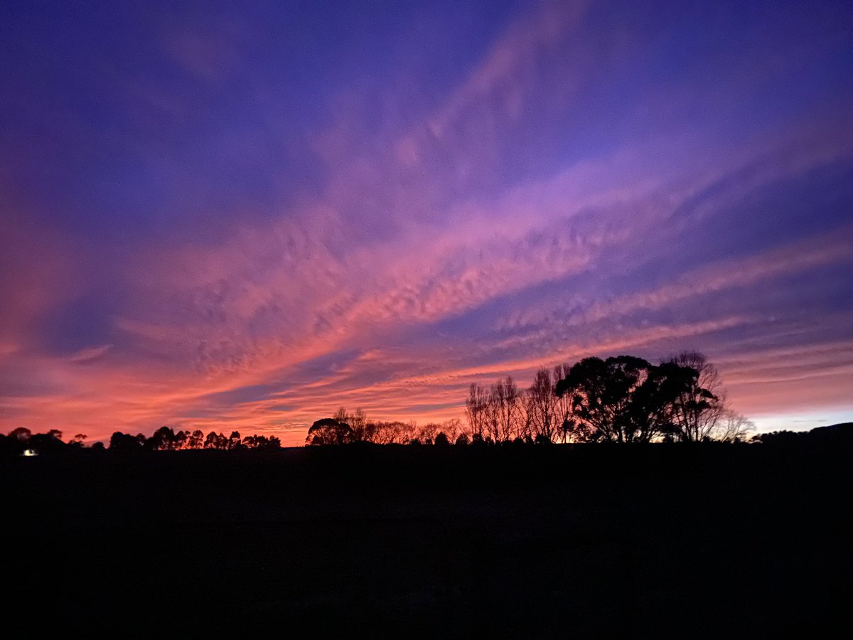 What a great country we live in. Despite all this pandemic stuff going on, it’s great to be involved in Australia Agriculture. Enjoy the day!