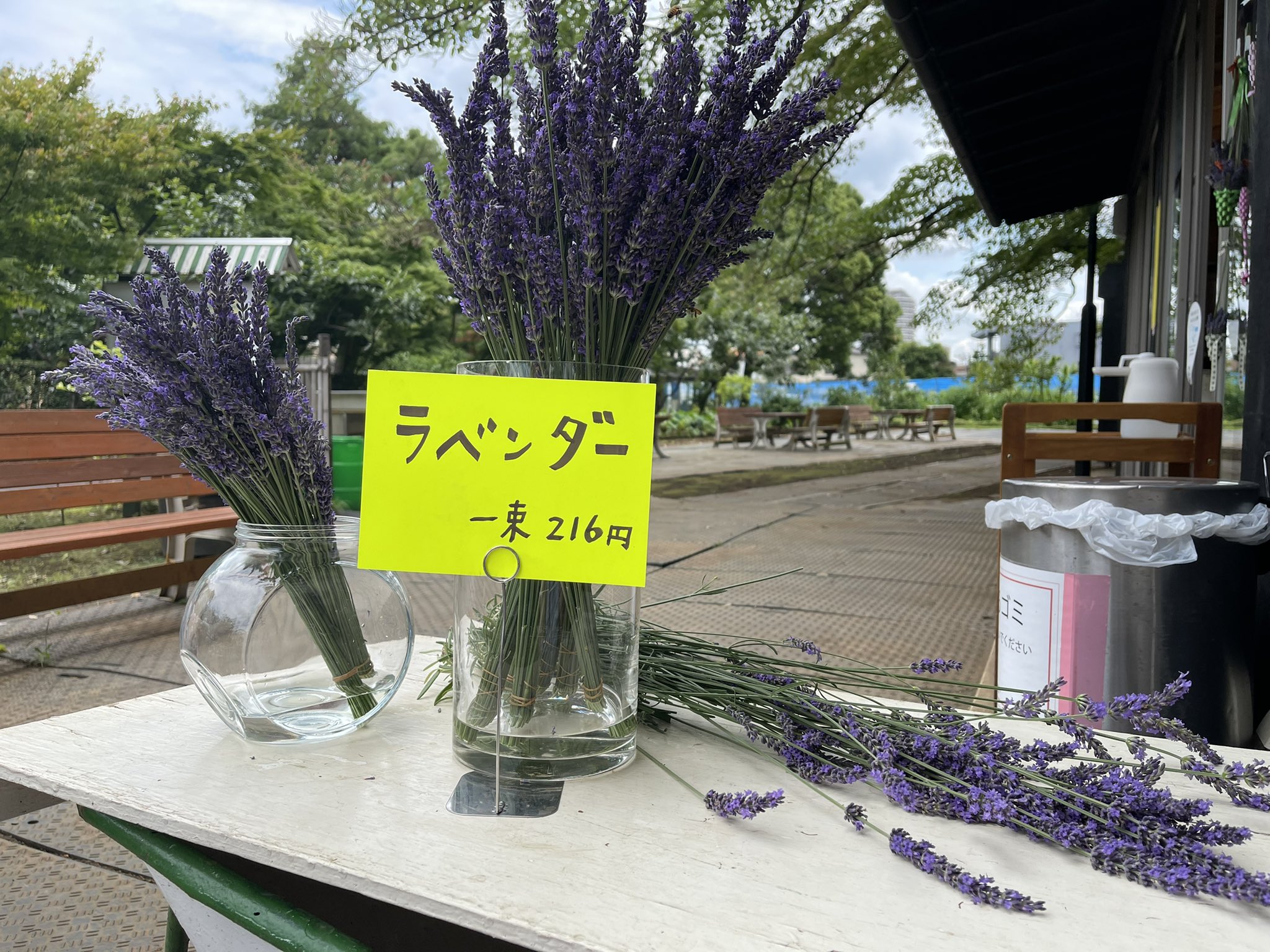 みやもとファーム 直売所より 摘みたてのラベンダー販売してます ラベンダースティックにオススメです 香りにリラックス効果があるので癒されます サシェにする場合は完全に乾かしてからお使いください 今日はとうふ商品 丸ズッキーニも販売して