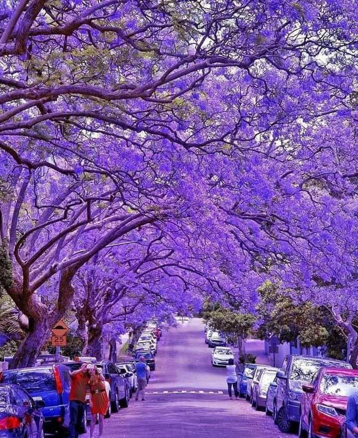⛅
صباحكم سعادة ،،، 🥰♥️

لأِصدقاء الصباح 💜
أتمنى أن تُشرق أعينكم بهجةً💜
 وأن تُزهر قلوبكـم فرحـاً 💜
وأن يُصبـح يومكم لطيفاً ورائِع💜

🌹أسعد الله صباحكم أحبتي🌹

-✨🇸🇦✨