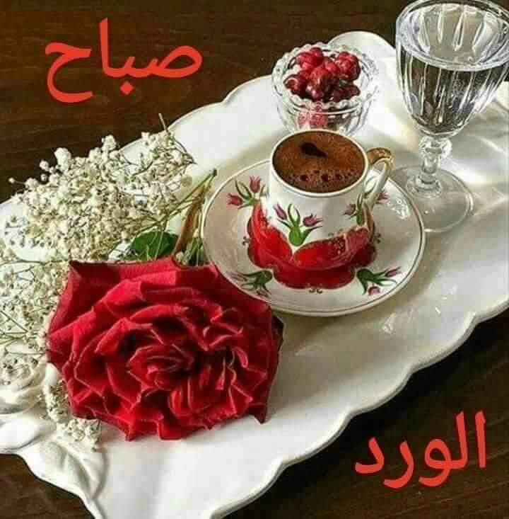 Sawsan00530744's tweet photo. https://t.co/ywCP1UQrGx