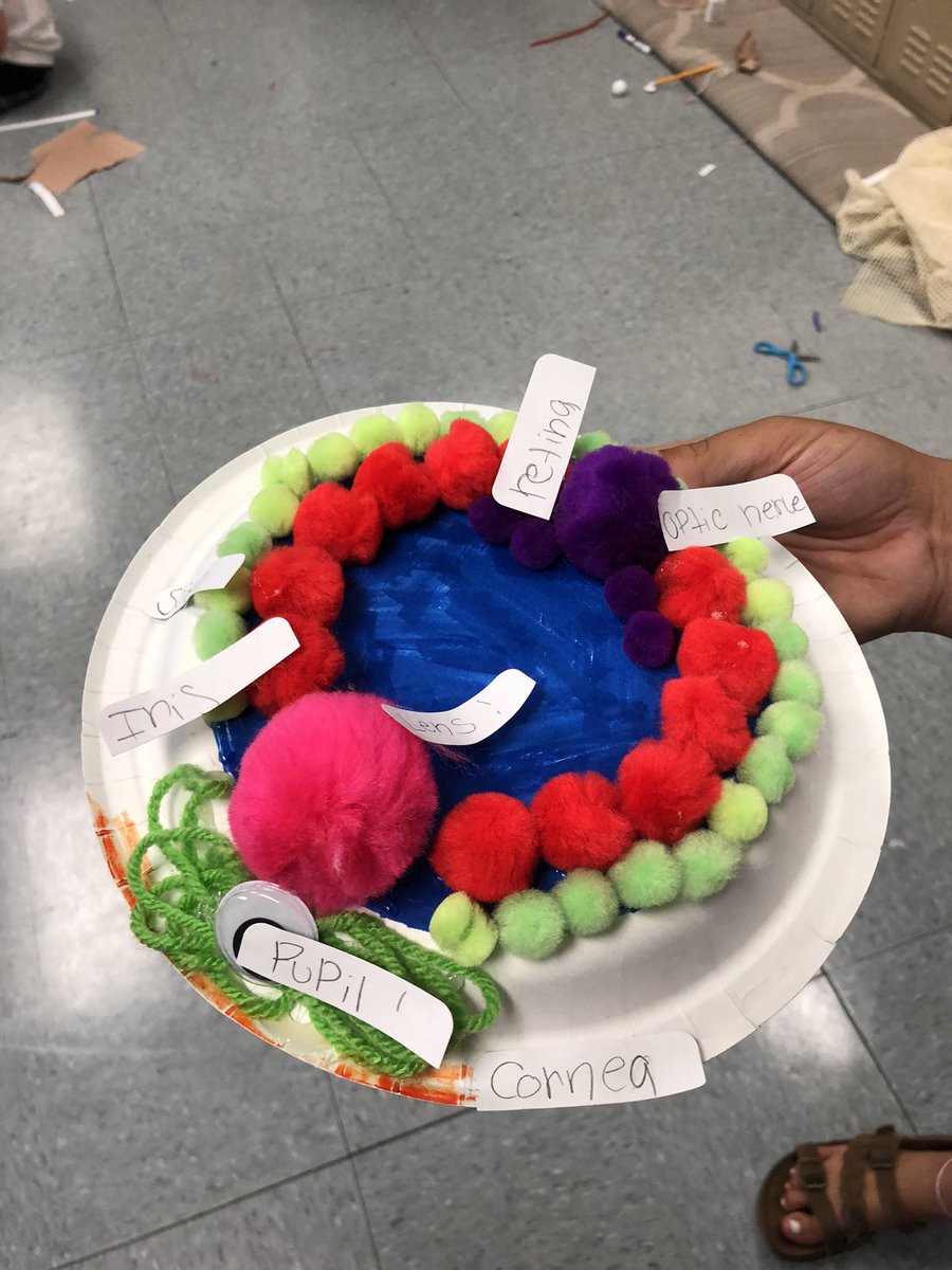 CrossieJones's tweet photo. #AcceleratingTN2021  Students started off color week by learning how light refraction creates rainbows &amp; how the different parts of our eyes enable us to see different colors!  Students assembled and labeled their own eye models! @MarshallCoSch @tammyrlewis66 @westhillstigers https://t.co/NJaegn0ap3