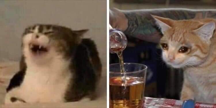 Riéndome con los memes de  medicina //  viviendo la medicina