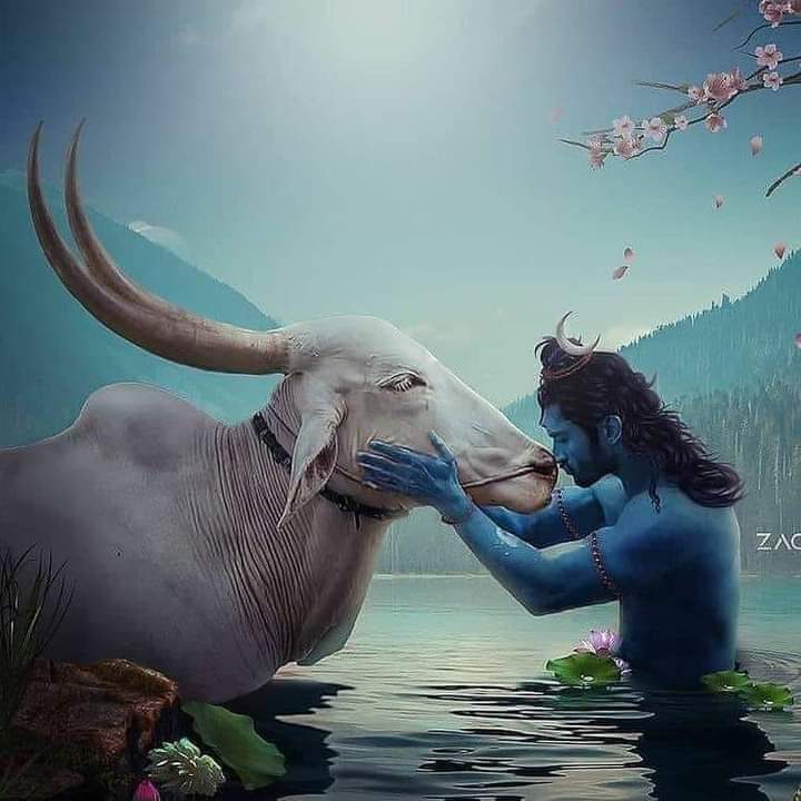 kl_lucifer's tweet photo. हम गरीब इतने है कि हमारी साँसे भी अपनी नही है,,

और अमीर इतने है कि तीनों लोको का स्वामी हमारा है 💐🙏

#हर_हर_महादेव #ॐ_नमः_शिवायः https://t.co/7reJ2nN7Yi