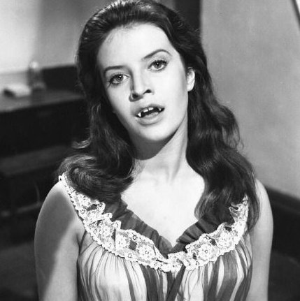 Hollywood Horror Museum on Twitter: "RT @horrormuseum: WOULD YOU LET