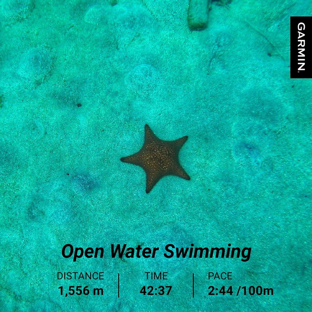 Swam a mile today (1.5km), pumped for my new distance PR! 
#swim #swimrun #Caribbean #outdoors #ocean #tri #ultra #fitness