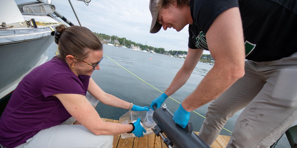 BigelowLab's tweet image. June 21 is #OceanSamplingDay2021! Here in Maine, we&apos;re joining scientists around the world collecting surface water samples to better understand marine #microbiome diversity.  w/@ASSEMBLE_Plus

#oceanhealth #oceanscience

📷@sepoulton