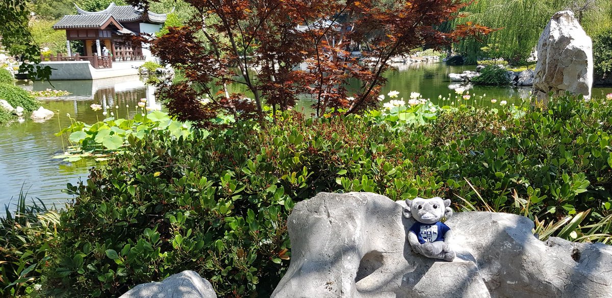 Sabine Jaccaud tweet media