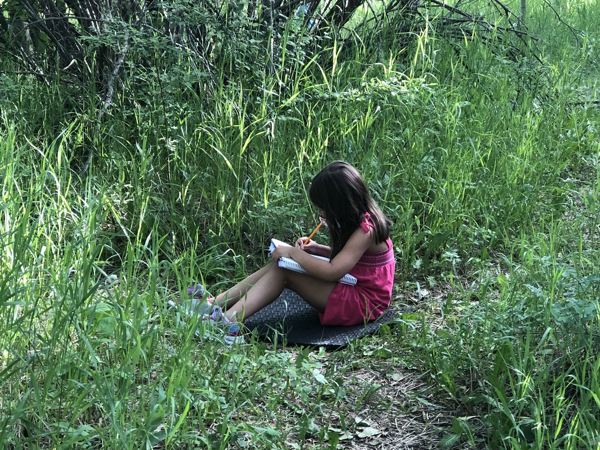 mckenzie_lake's tweet photo. As we recognize #NationalIndigenousPeoplesDay we @mckenzie_lake commit to learning through Indigenous ways of knowing, to connect with the land to explore how the land provides and shapes our identity.#WeAreCBE #TRC @dmmccomish @MLSCommunity https://t.co/xMMQXTWtrc