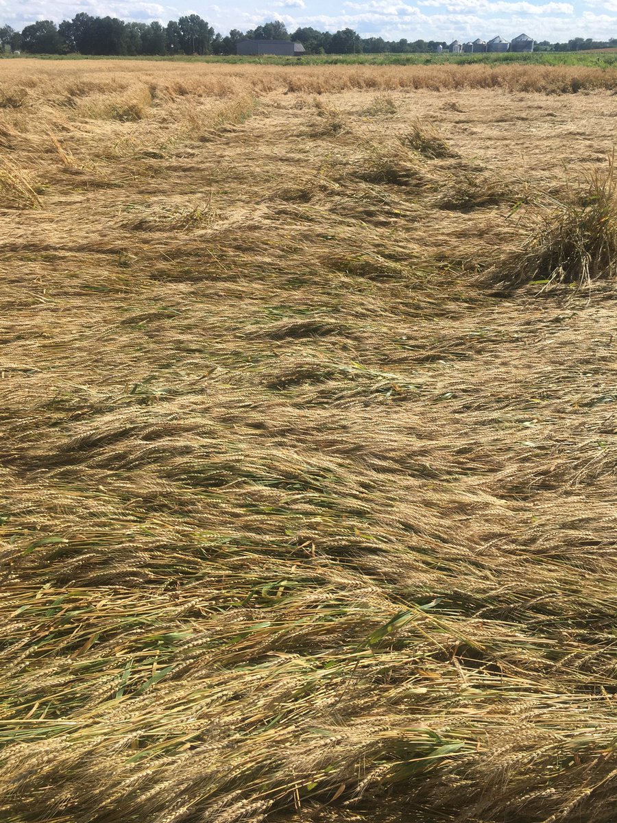 hackman_sam's tweet image. Well shit. This should be fun. This year is stupid...