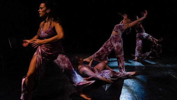 Chicago ParkDistrict tweet media