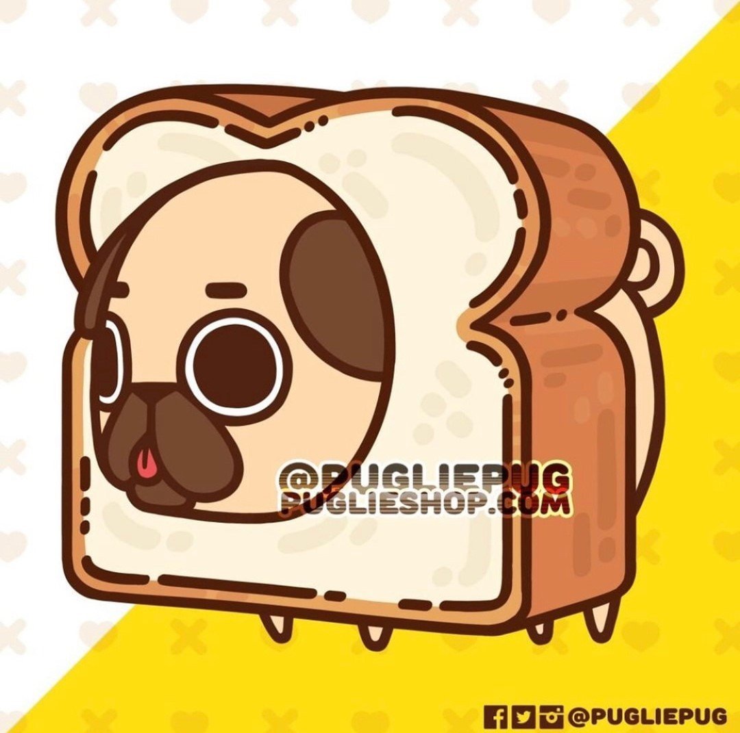 Puglie Pug tweet media