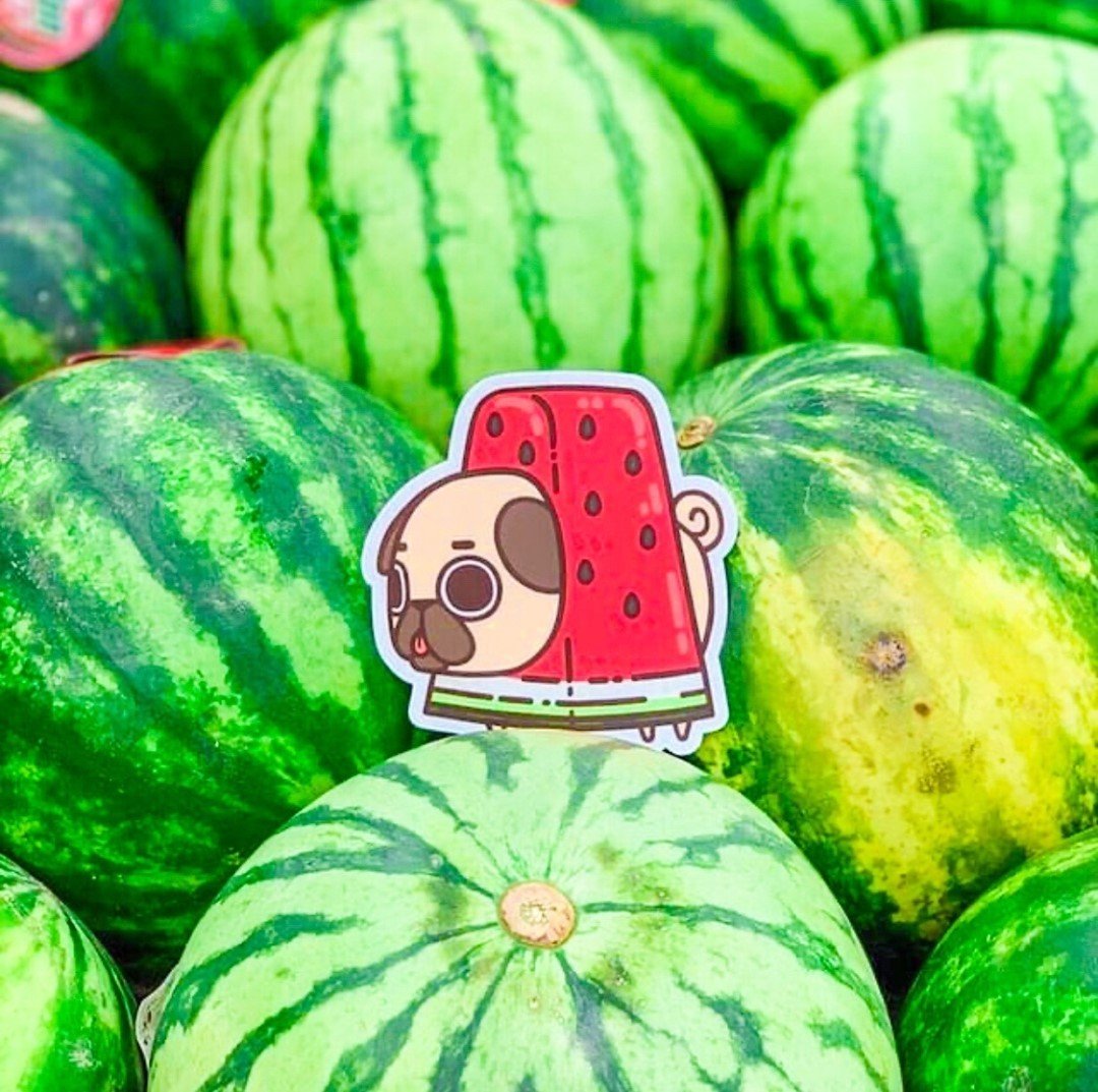 Puglie Pug tweet media