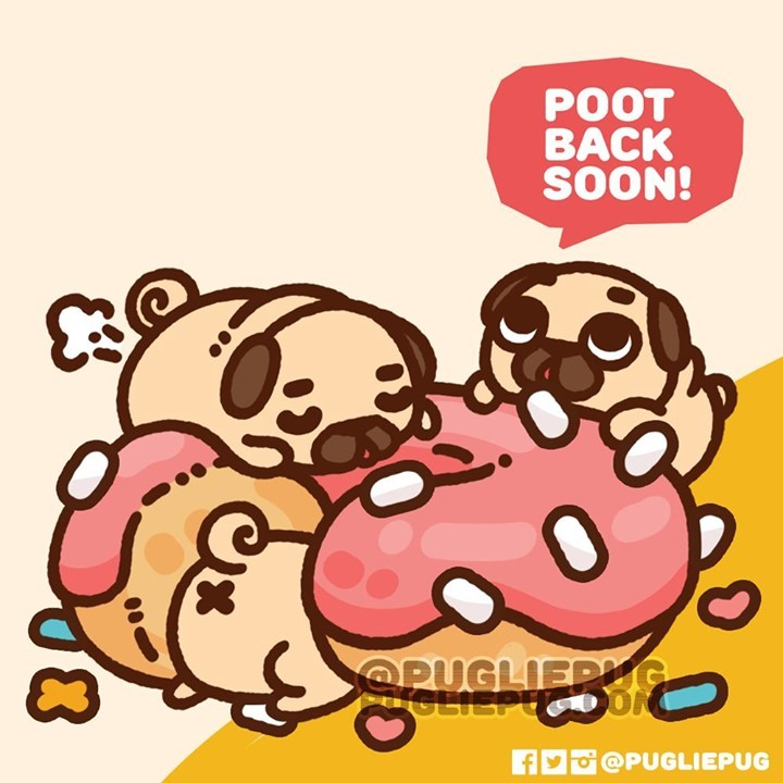 Puglie Pug tweet media