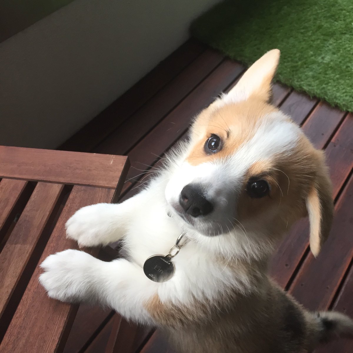 Inga Pflaumer tweet media