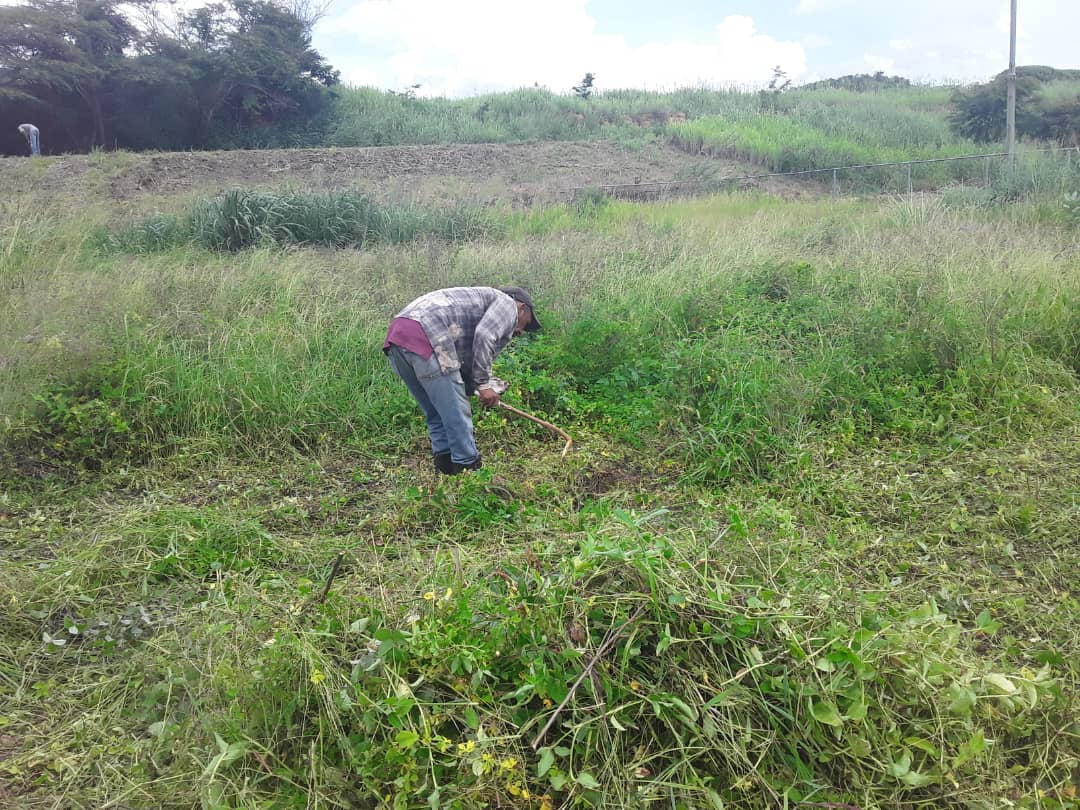 #TrabajadoresnoseDetienen servicio de concentrado para la instalación de fútbol del estado Lara Serdinfula trabaja para garantizar el buen funcionamiento del deporte en Lara mantenimiento intenso y sin descanso