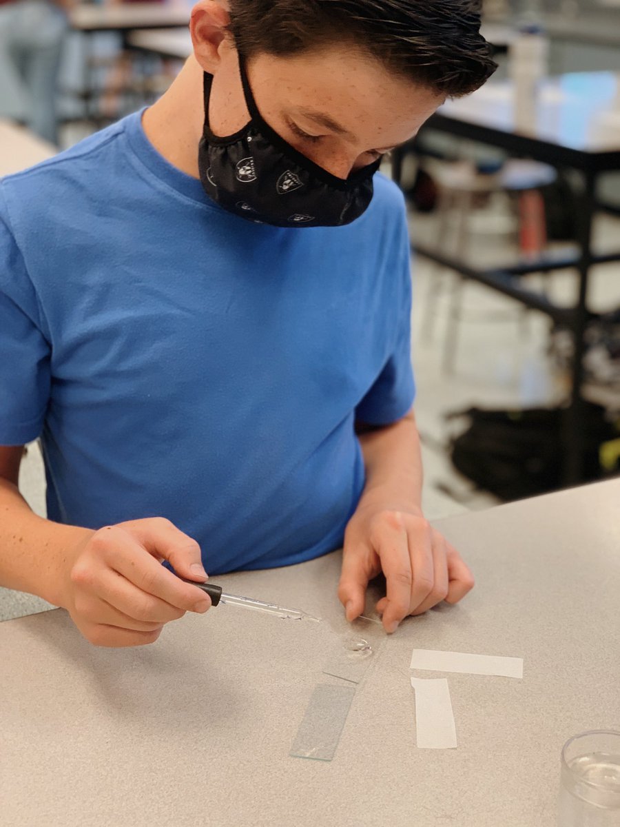 tarahteaches's tweet photo. Today at #bsdenrichmentcamp we studied microorganisms commonly found in our very own Lake Success! 🌿🦐 #scienceiscool #stemeducation #summerschool https://t.co/7uqxEYqarl