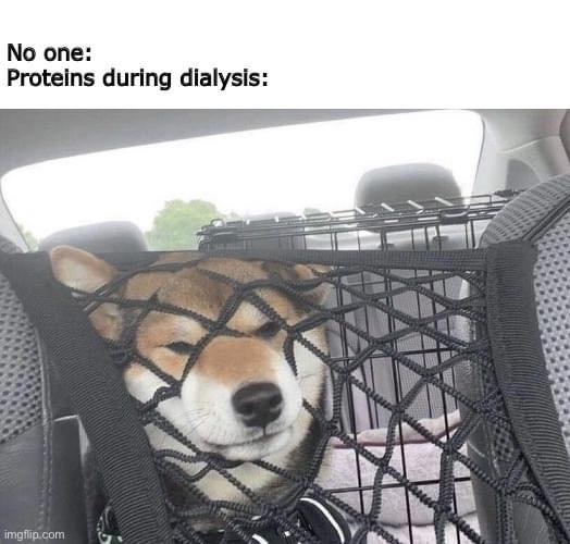 Proteins during dialysis 🤣🤣🤣🤣