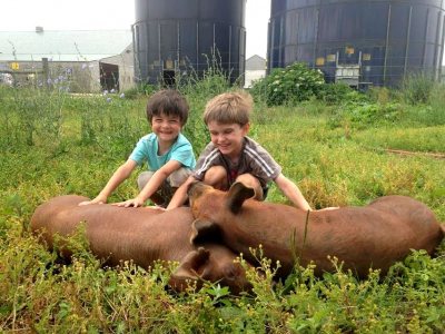 VisitMA's tweet photo. Kids, be a farmer for a day, on Tuesdays, Wednesdays + Thursdays this summer at The FARM Institute!  The 162-acre FARM Institute at Katama Farm in #EdgartownMA is a working farm devoted to sustainable agriculture and farm education. #mylocalma 
@VisitMV 
https://t.co/KXALlUoFB2 https://t.co/LYczo5cHrh
