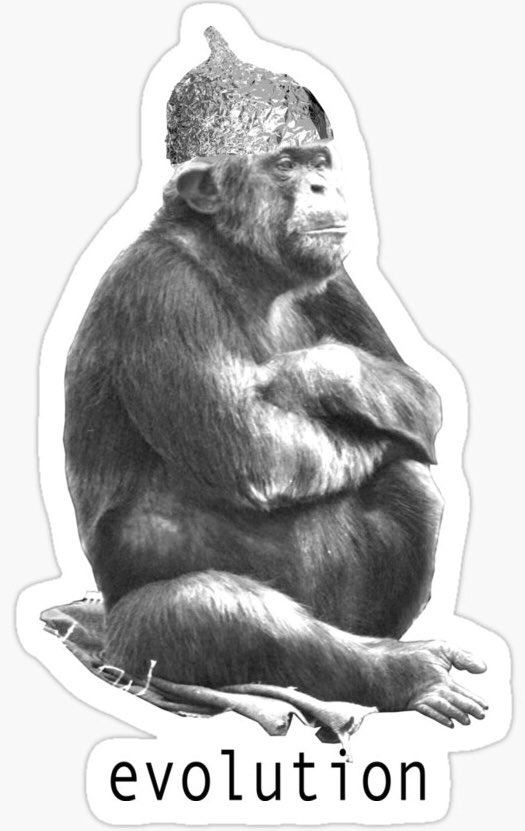 Confirmation bias is everywhere.