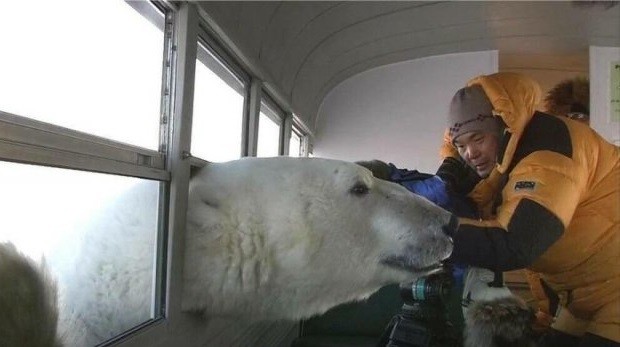 thelaceylondon's tweet photo. In six words or fewer, write a short story about this photo...

#amwriting #sixwordstory https://t.co/WRQeApFarq