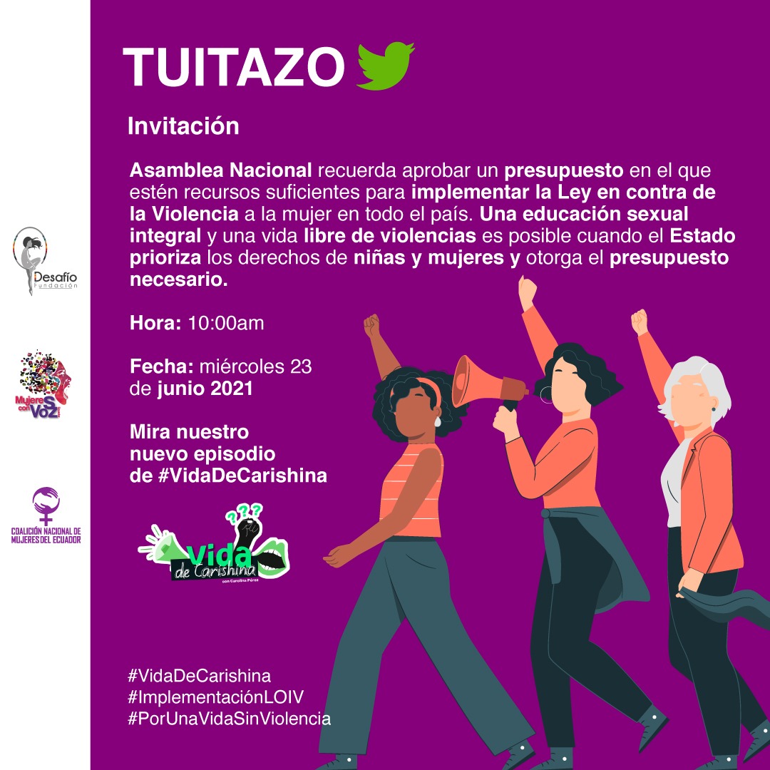 DesafioDerechos's tweet photo. TUITAZO 🚨
@AsambleaEcuador recuerda que la #ImplementaciónLOIV está pendiente. Una educación sexual integral y una vida libre de violencias es posible cuando el Estado prioriza derechos de niñas y mujeres y otorga el presupuesto necesario 
@DDHH_Ec @FinanzasEc https://t.co/DPViKO7tkv