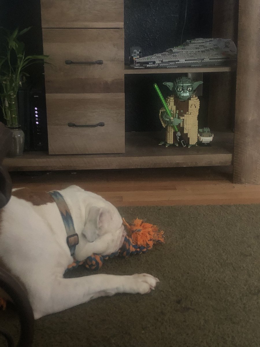 wook_chuck's tweet image. New rope day! #loverope