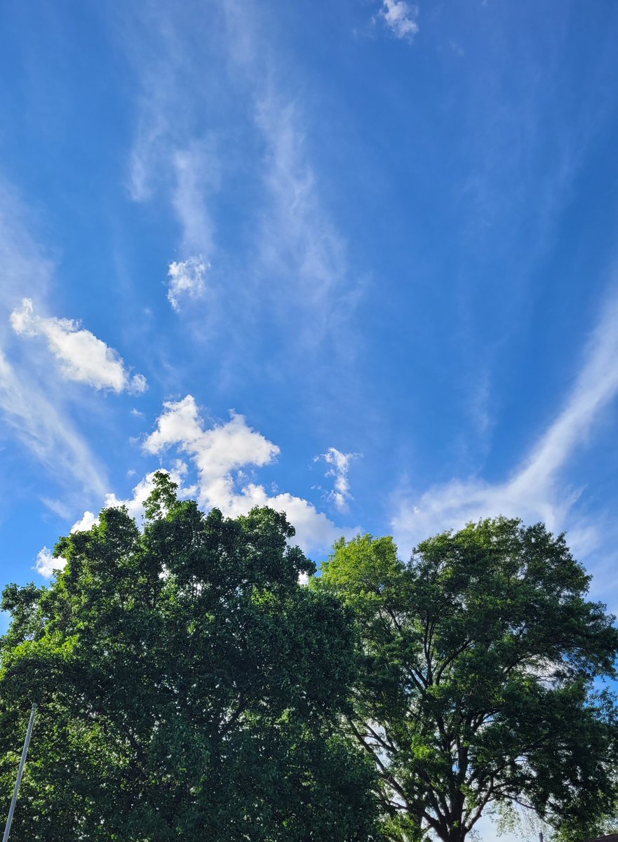 JulDwyer's tweet photo. Just taking a walk around the neighborhood and appreciating the cool weather and pretty trees and sky! https://t.co/dWfuovcqpz