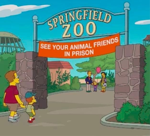 GrampaYour's tweet photo. Simpons always hit the mark.
#GoVegan 🌱 https://t.co/OBGHhWYIOo