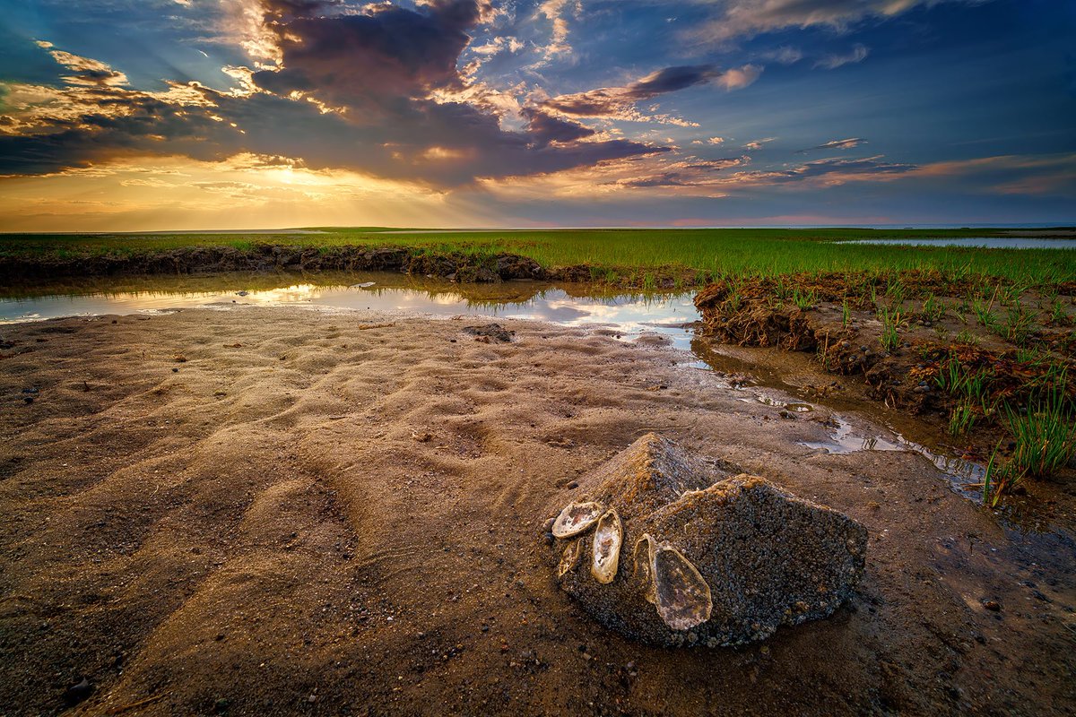 LEEFilters's tweet image. @rickberk - Sunset on Paine’s Creek Beach
📍 #Brewster #Massachusetts
📷 @sony a7R IV
⭕ Sony FE 16-35mm f/2.8 G Master, 16mm
⚙️ f/11, ISO 100, 1/13
⬛ @leefilters 0.9 #3stop #Reverse #Graduated #Neutral #Density #Filter