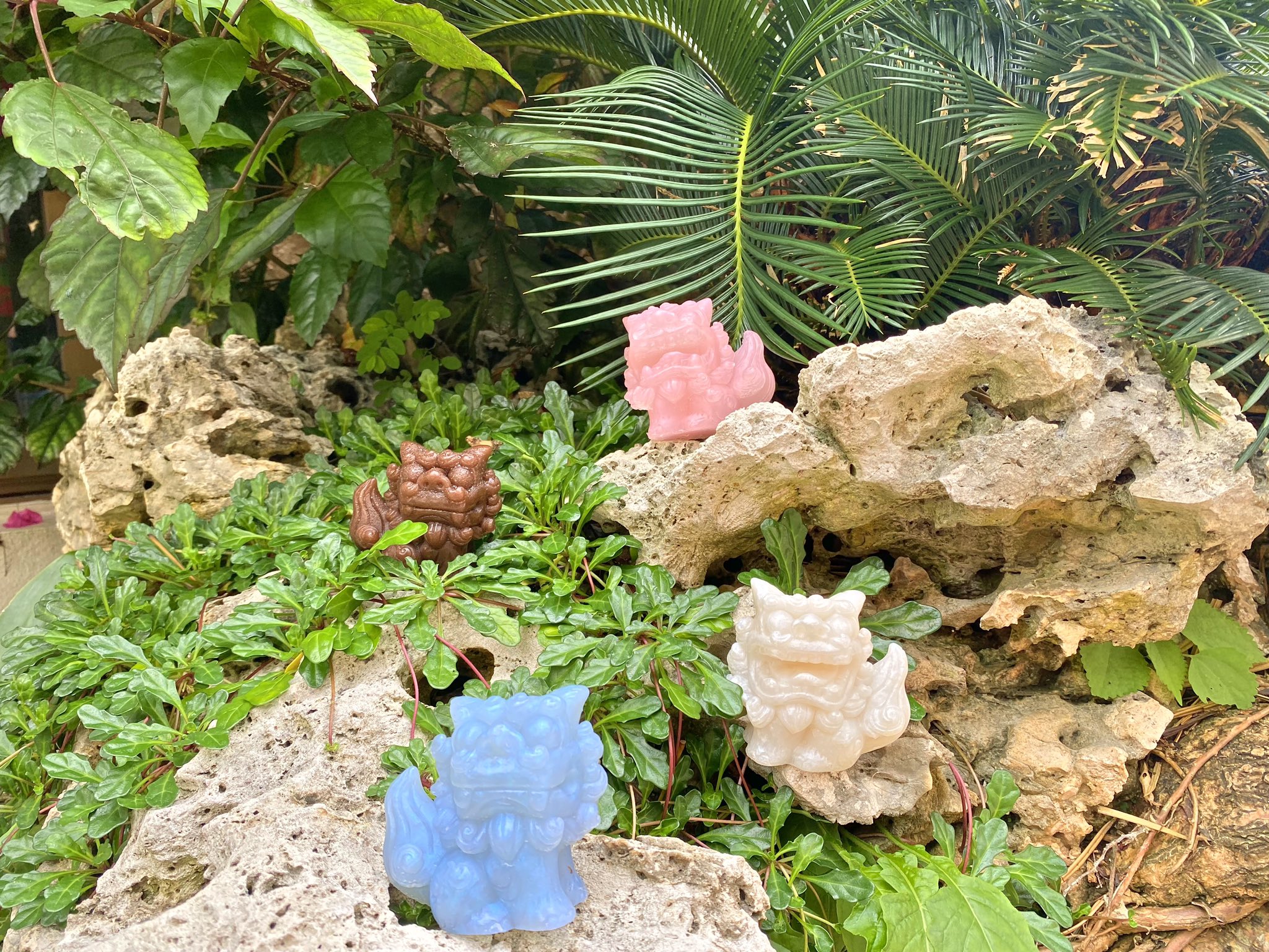 シーサー石鹸 公式 ハイサーイ 沖縄には可愛い植物が街中にたくさんあるさ まるで南国の植物園 真っ白な石は琉球石灰岩 むかしに珊瑚礁からできたみたいさ 琉球 沖縄 シーサー石鹸 ハンドメイド 珊瑚礁 沖縄旅行 夏 シーサー 南国