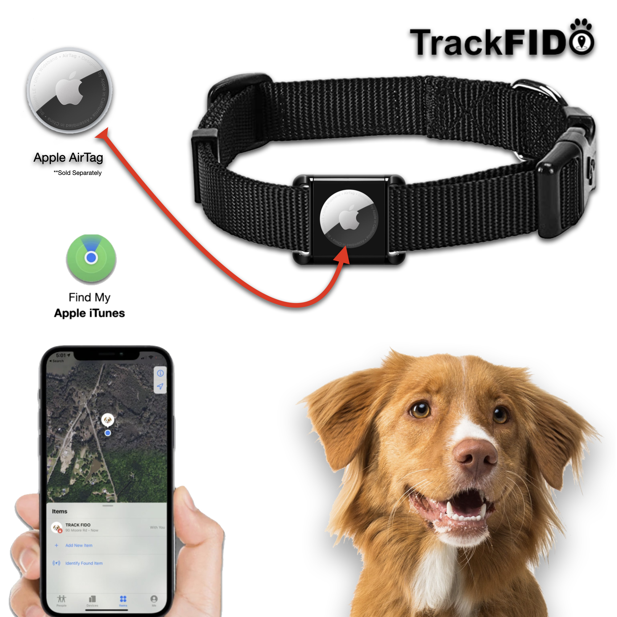 Track my dog with best sale my phone