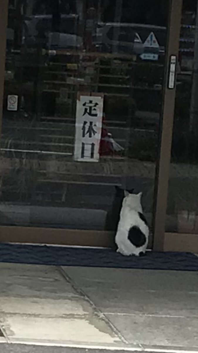 KISHI_et's tweet photo. 朝から癒された。 https://t.co/3kaC5wRZ9O