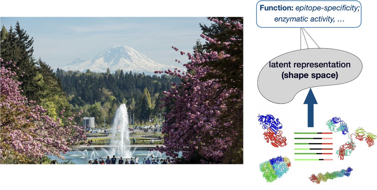 Dr. Armita Nourmohammad (@thearmita) on Twitter photo 2 postdoc openings in my group <a href="/UW/">University of Washington</a> to learn how the immune system is organized in light of evolution & biophysics of immune-pathogen recognition #TheoBiophysicsPosition #postdocjobs #ScienceJobs <a href="/airr_community/">airr_community</a> <a href="/ApsDbio/">APS Division of Biological Physics</a>
details: sites.google.com/uw.edu/statphy…
please RT 2 postdoc openings in my group <a href="/UW/">University of Washington</a> to learn how the immune system is organized in light of evolution & biophysics of immune-pathogen recognition #TheoBiophysicsPosition #postdocjobs #ScienceJobs <a href="/airr_community/">airr_community</a> <a href="/ApsDbio/">APS Division of Biological Physics</a>
details: sites.google.com/uw.edu/statphy…
please RT