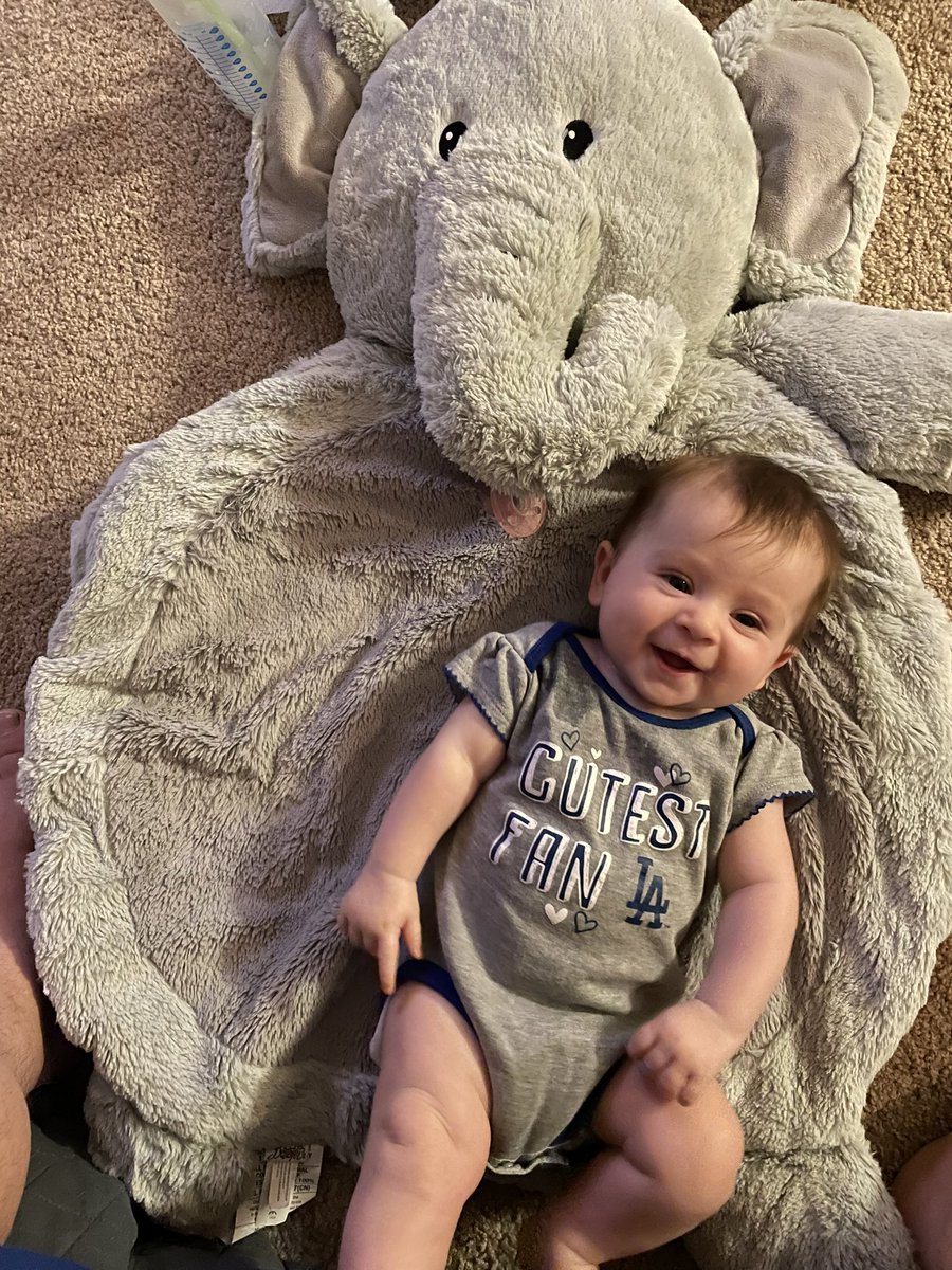 Josh Yukelson tweet media