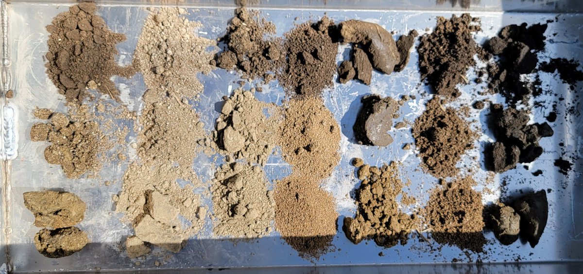 danielle_epp's tweet photo. One half section, multiple zones, 3 depths, very different soil textures
#SWATMaps #SWATWater #AgInMotion #DiscoveryFarm https://t.co/LMdpYJ7bvo