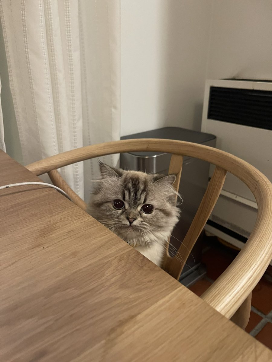 quenblackwell's tweet photo. she wait for her plate https://t.co/7EmqfCPGfo