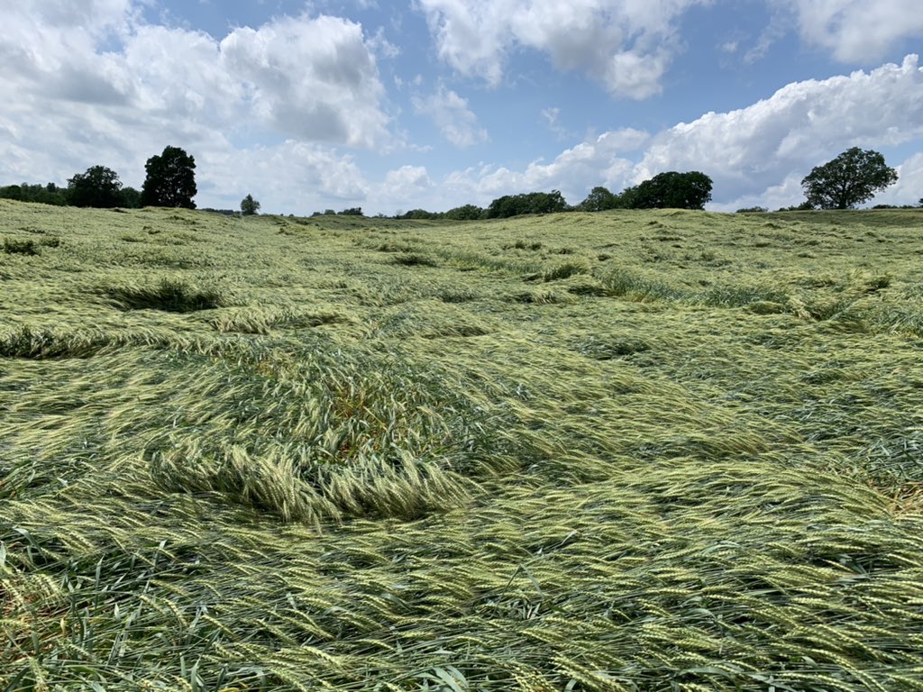 johanna lindeboom, CCA-ON tweet media