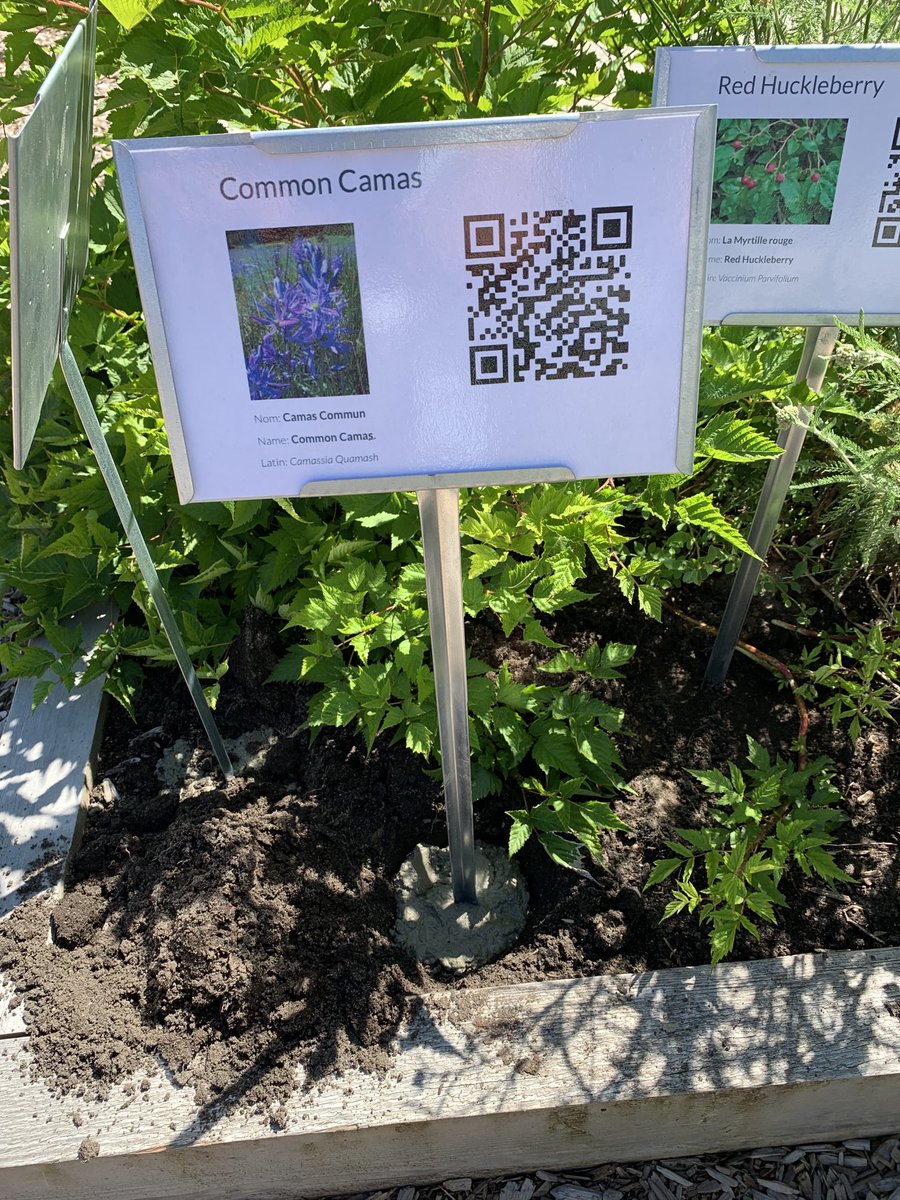 Anne-Marie Fenn tweet media