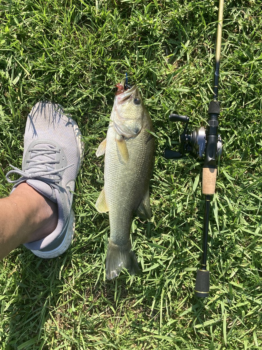 dmason390's tweet photo. This one took my scorpion bfs reel to the limit…. 6lb fluorocarbon, drag  singing. #bfsfishing #fishing #fishinglife https://t.co/wbr1YUlVpo