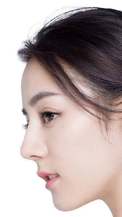 Misshi 豊胸 輪郭3点 鼻フルdt中 ファンビンビン グリナザ ハニケジ ディルラバ ディルムラット 中華系美女の横顔の写真並べて見たら美人て元の鼻のサイズ自体がまず大きいんだよなぁ 顔面サイズに対して小鼻のサイズが小さい そして鼻の高さも低い