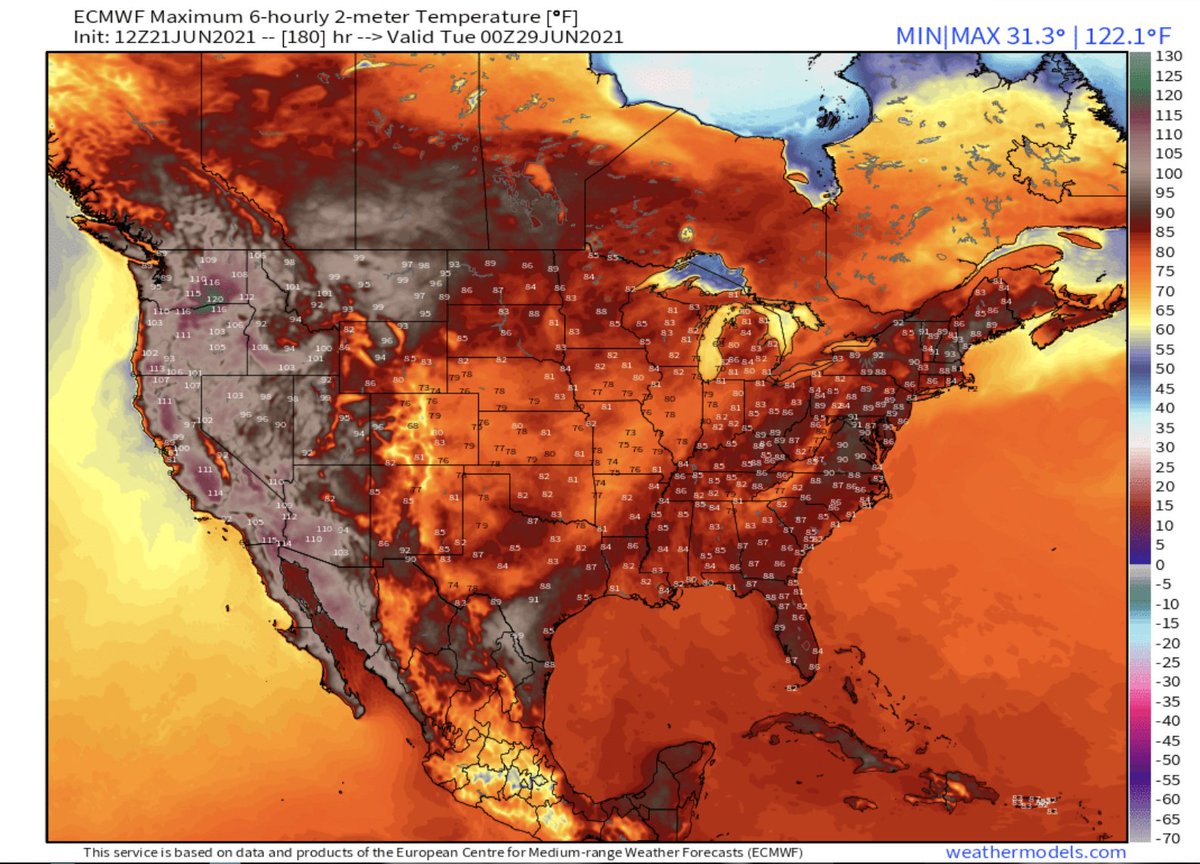 Kyle Brittain tweet media