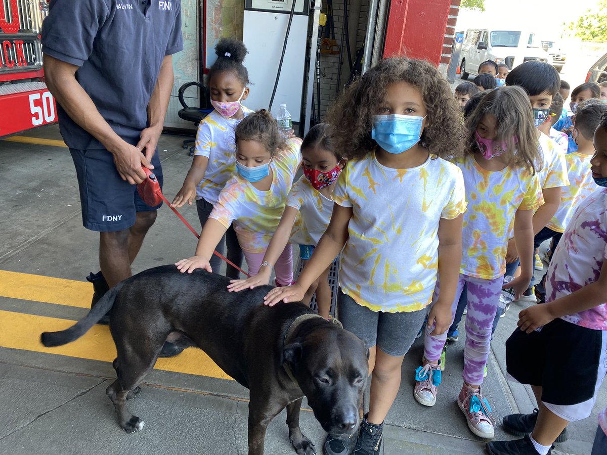 PS304X's tweet photo. Kindergarten trip to fire house! #everylearnereveryday #leadersinlearning #beyondblended https://t.co/lhcNI4Sr0p