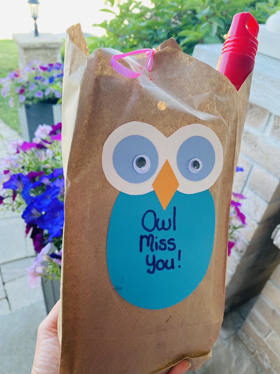 econminl's tweet photo. What a surprise ❗️Un gros merci 🤩 à @MmeBailey2  and @teachtalktay driving door-to-door sending end-of-school-year gifts 🎁 Feel appreciated of attending virtual school @OCVSouthwest during this challenging year 🦠 Than you @OCVSouthwest @OCDSB @newhalfmoonbay https://t.co/AW8z19nWpR
