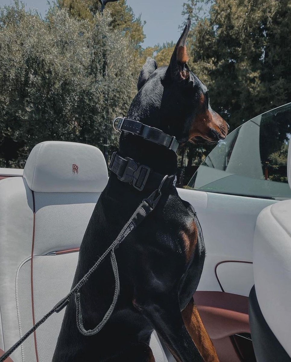 ARTIFAXING (@pedestrian) on Twitter photo 